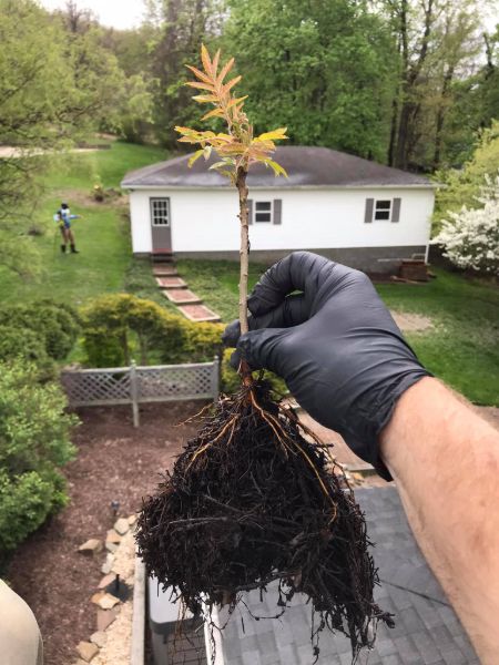 gutter cleaning greensburg pa 003